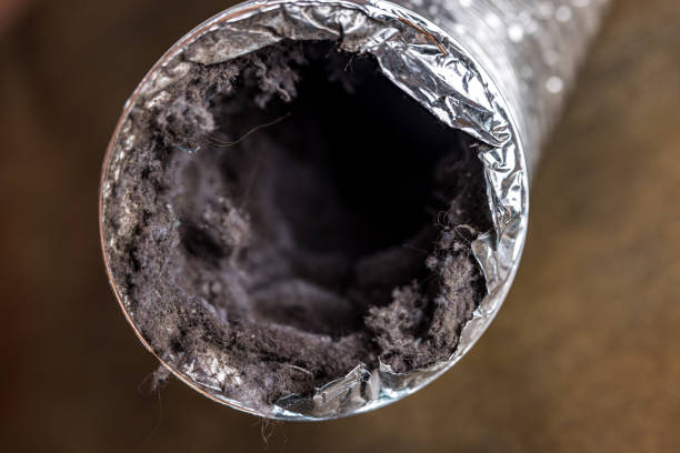 Best Affordable Duct Cleaning Services  in Trafford, PA